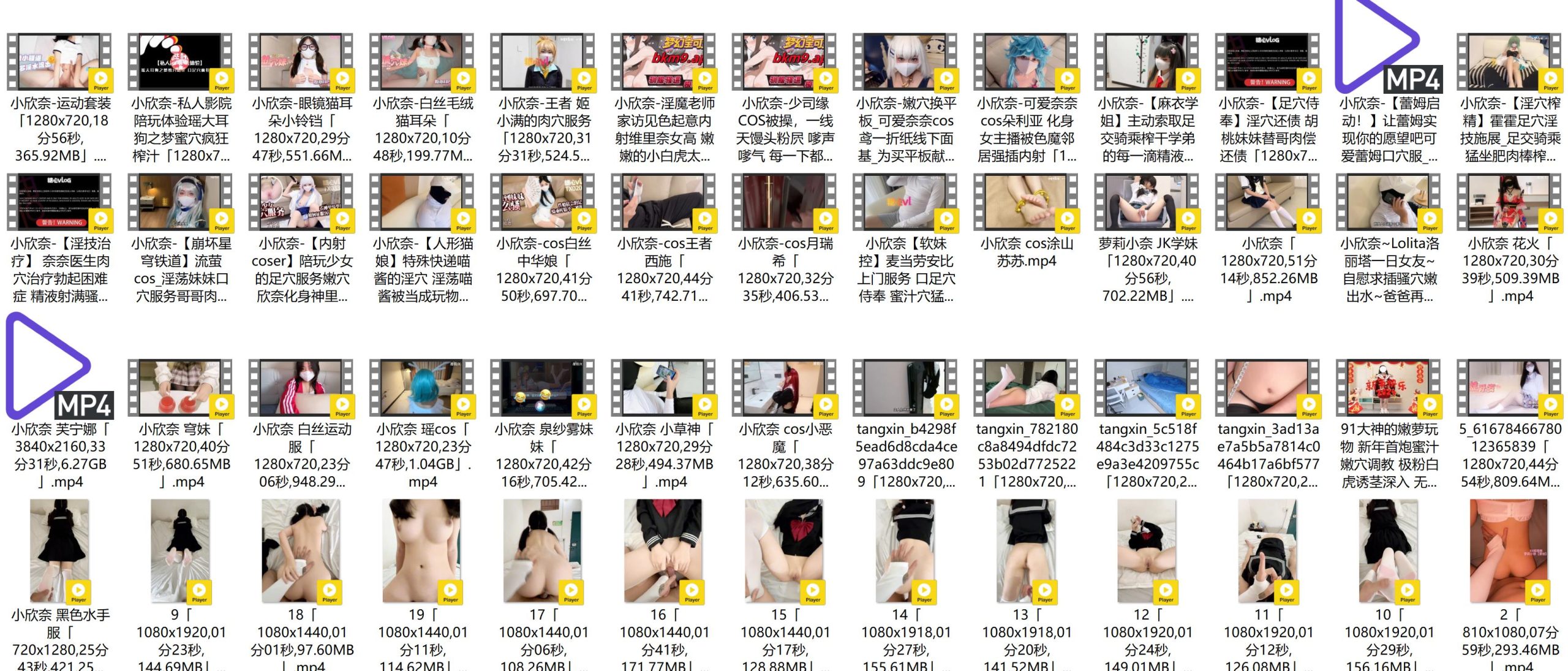 小欣奈合集[70V-35.2G][30积分]