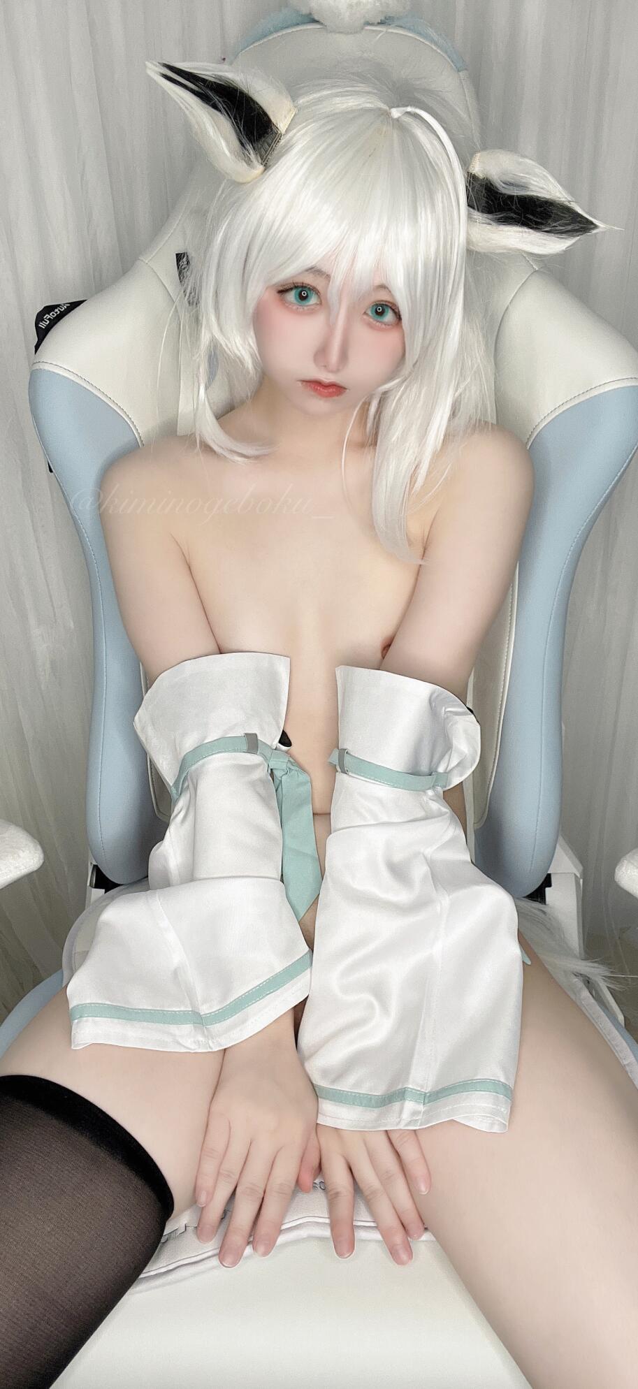 わんこちゃん（kiminogeboku）合集[586张图+50个视频11.4G][10积分]