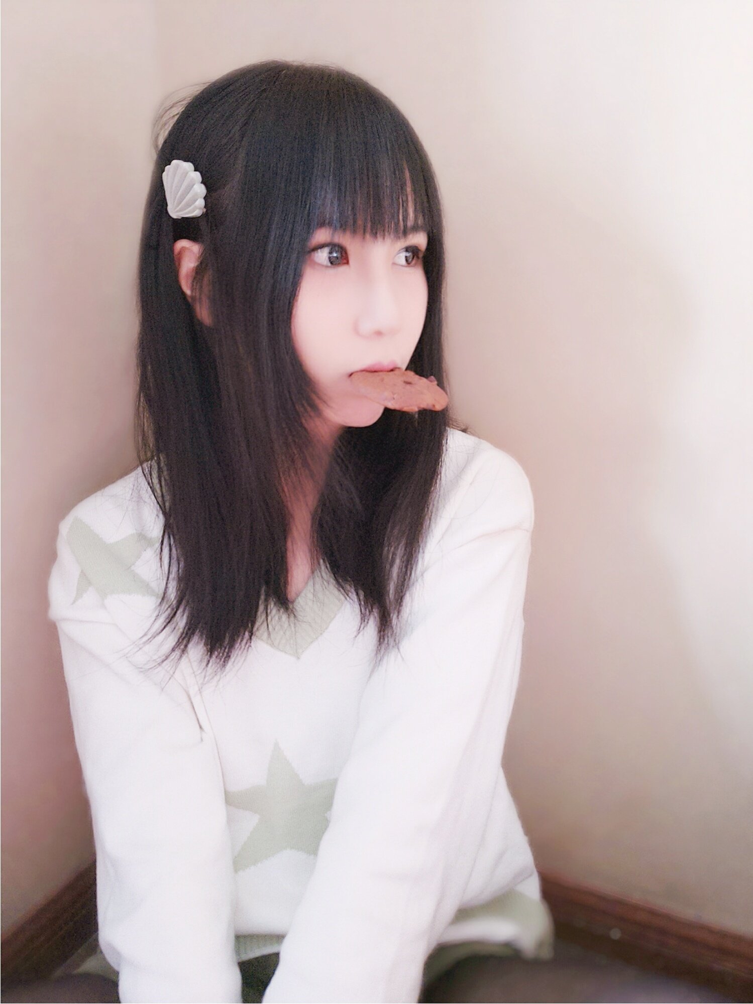 逐月SU 51套合集[1125张图+60个视频3.49G][5积分]