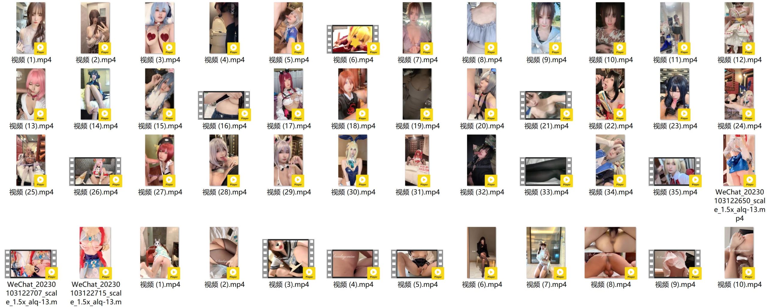 萝莉小合集2[712P+139V-1.22G][15积分]