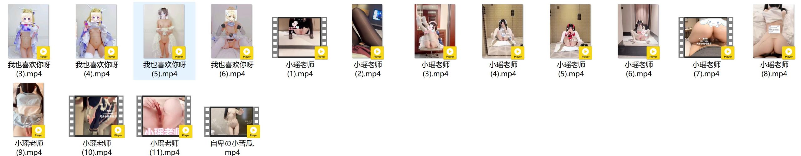 萝莉小合集3[1110P+136V-2.40G][30积分]