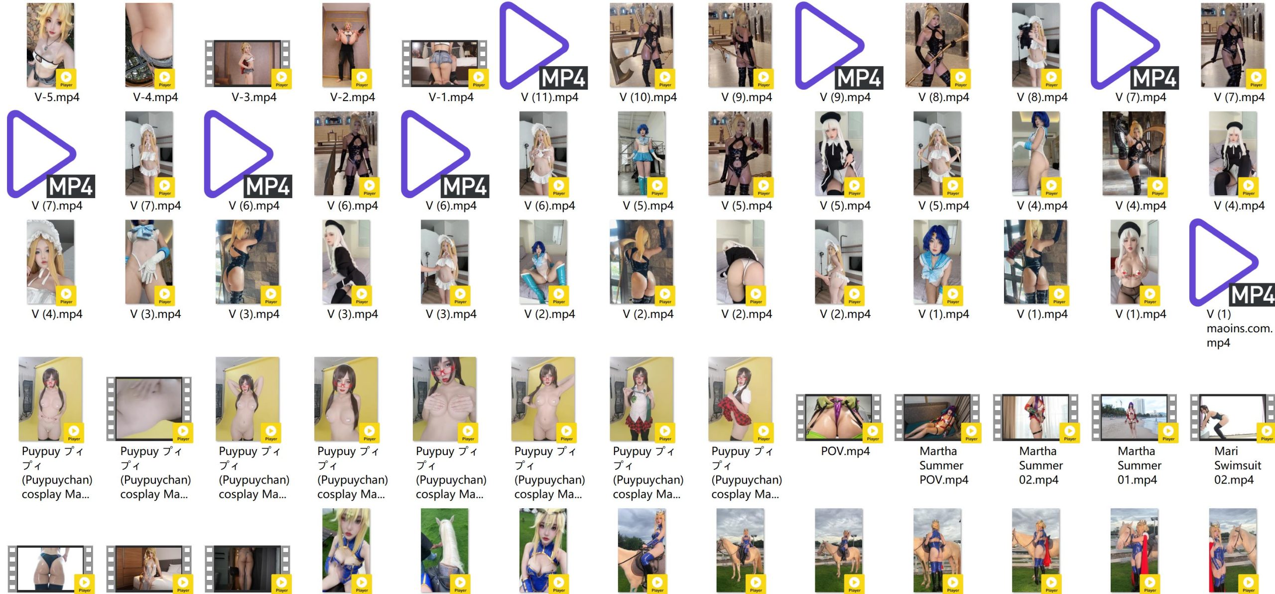 PuyPuyChan56套合集[5754P+317V-89.7G][30积分]