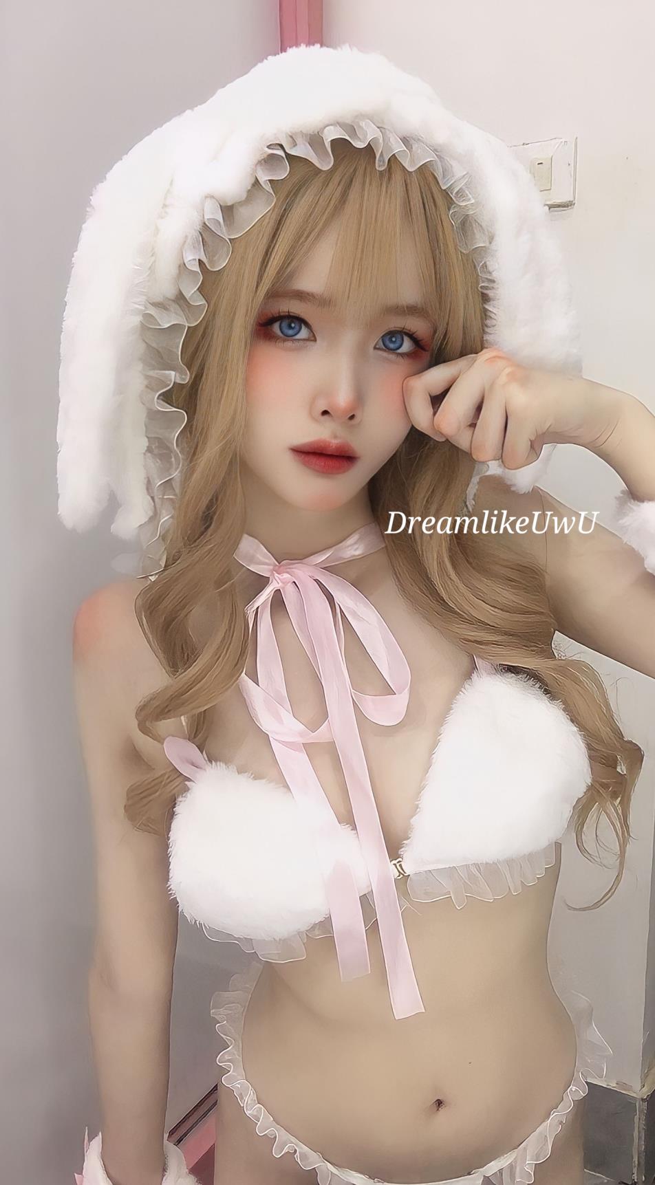 DreamlikeUwU 15套合集[500P+44V-6.41G][10积分]