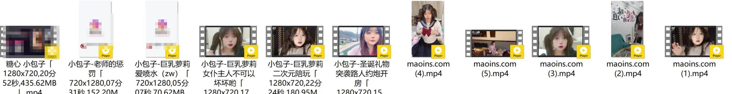 小包子合集[11个视频2.56G][10积分]